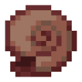 Muszelka