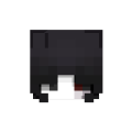 Cynola
