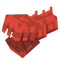 Szczypce