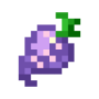 am_beetroot.png