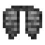 bedrock_elytra.png