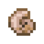 fossil.png