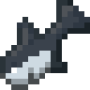 shark_black.png